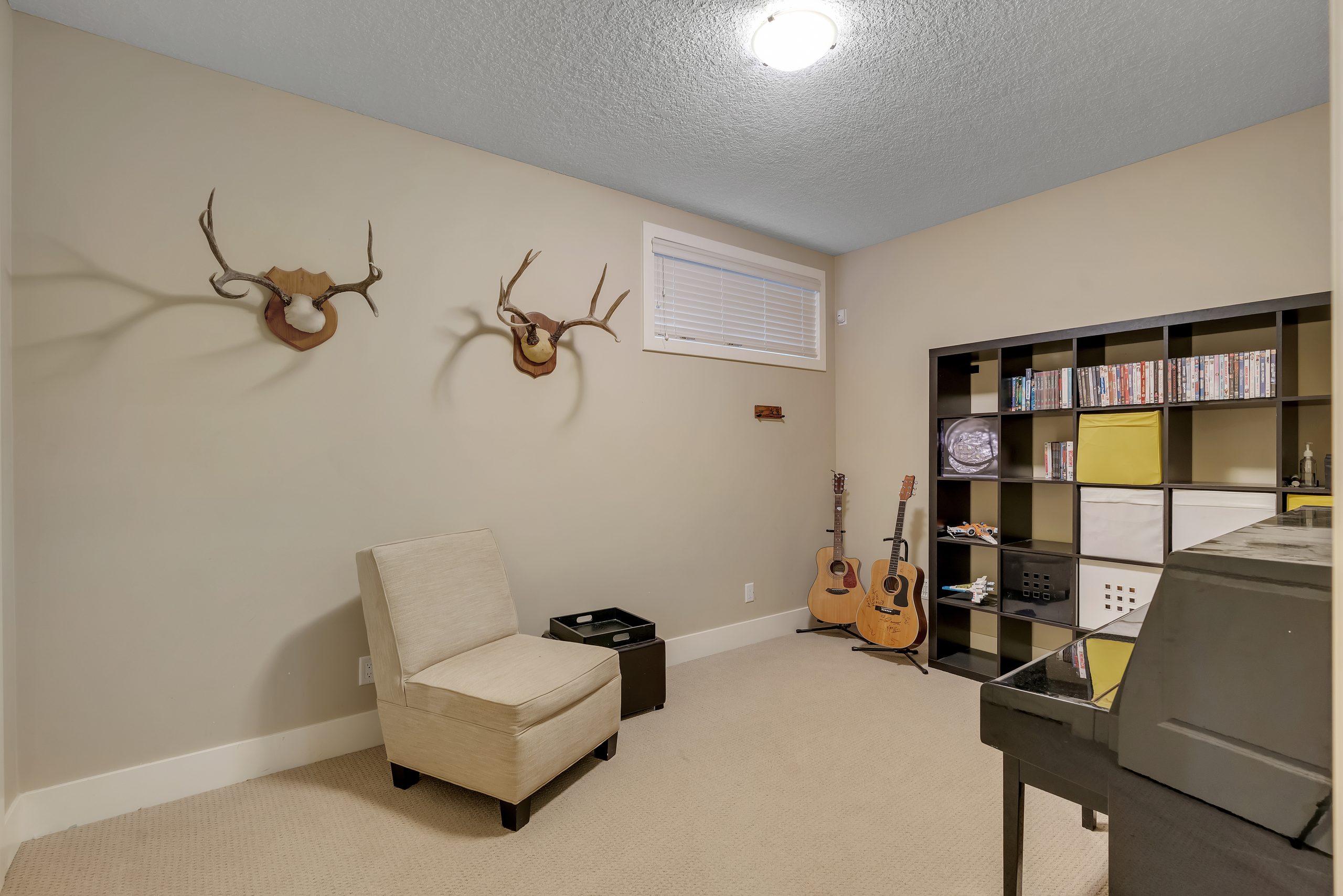 Media room
