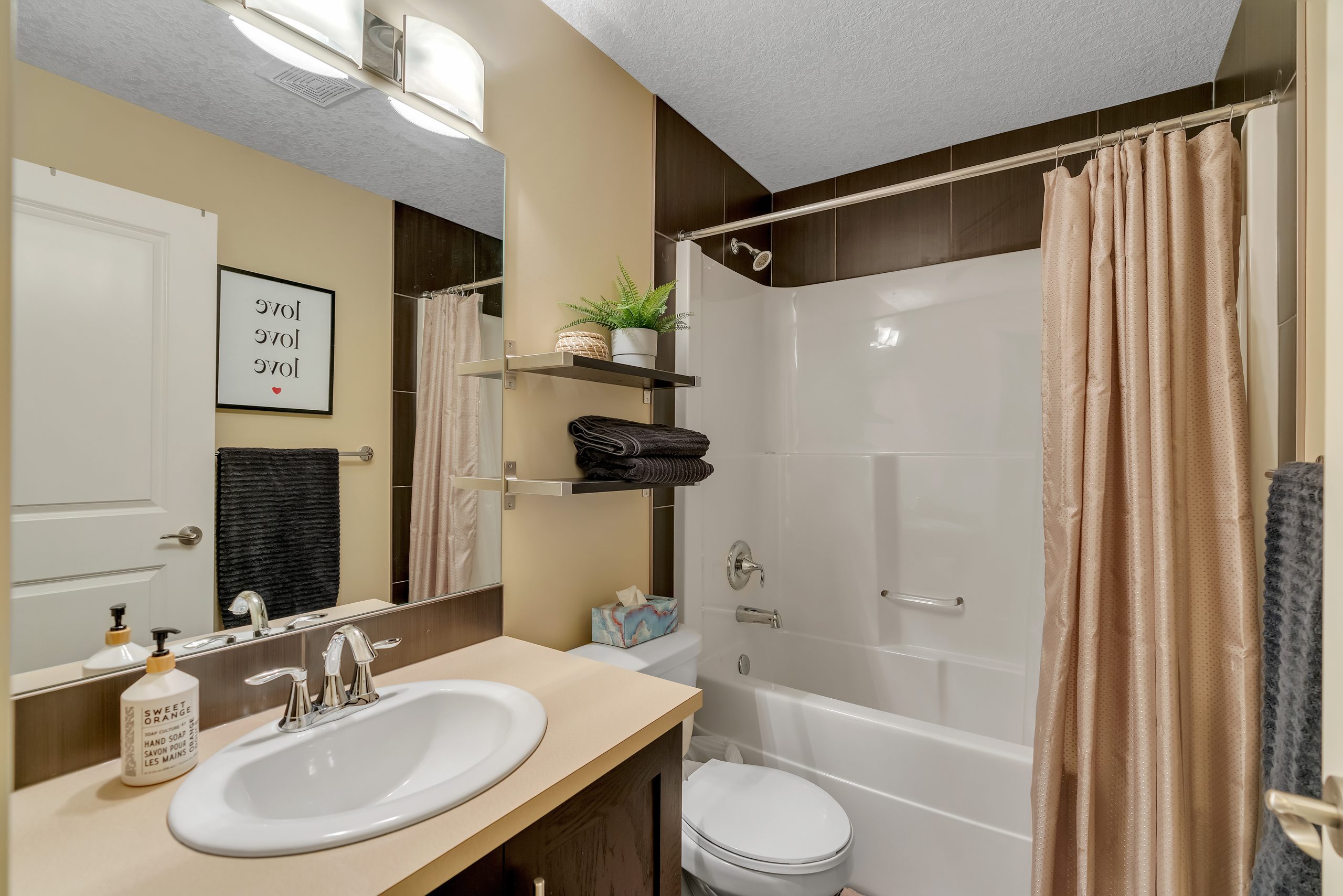 Basement bathroom