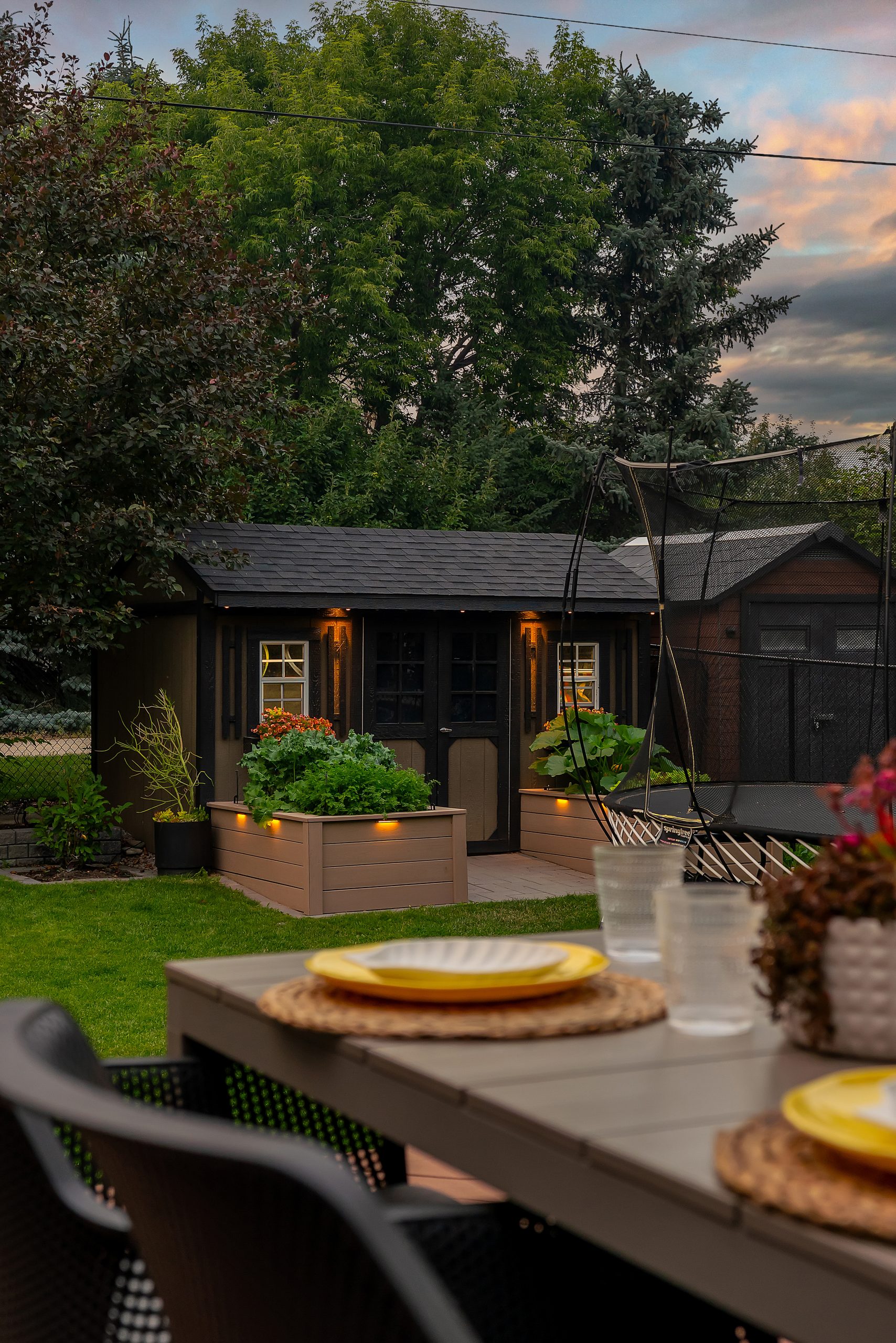 Shed and garden beds