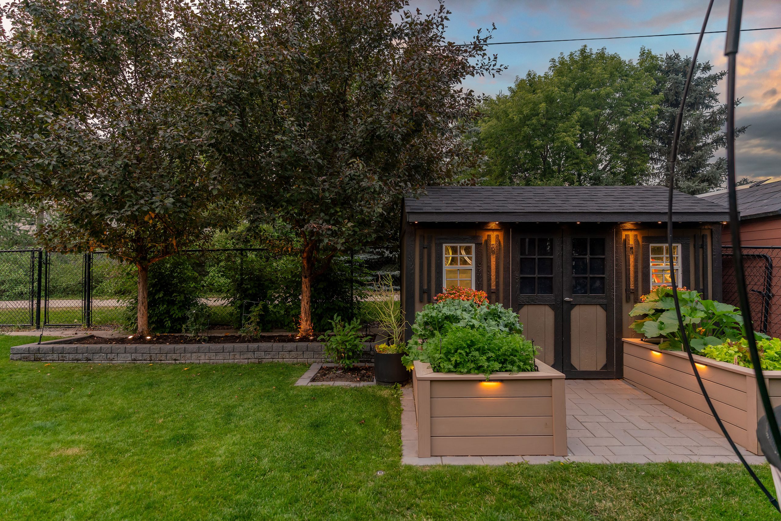 Garden and shed at dusk