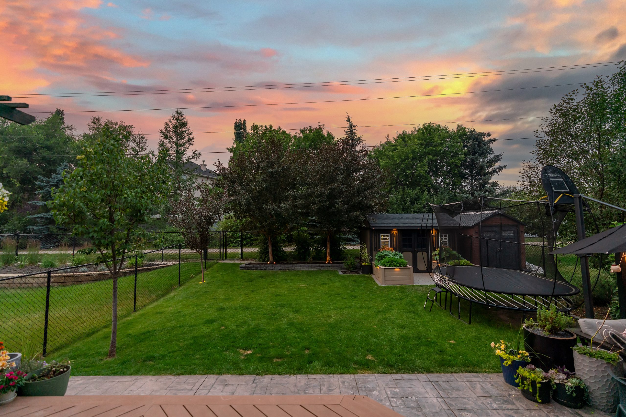 Back yard at dusk